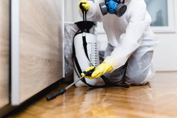 Best Pest Prevention Services  in Seaman, OH