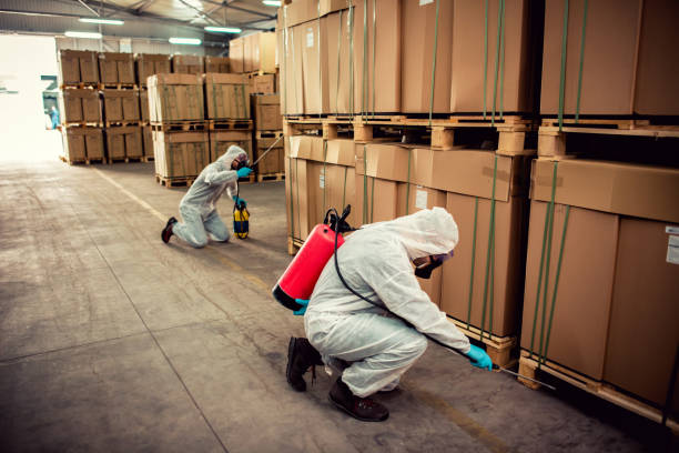 Wildlife Control Services in Seaman, OH