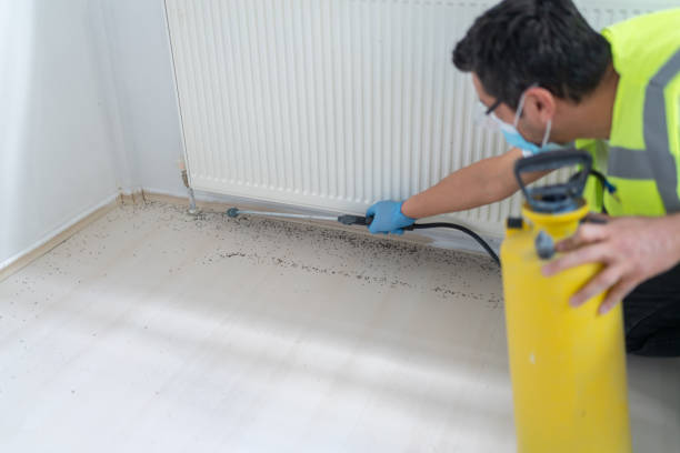 Best Ant Control Services  in Seaman, OH